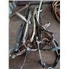 Image 1 : Two Bridles