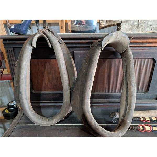 Two Harness Collars