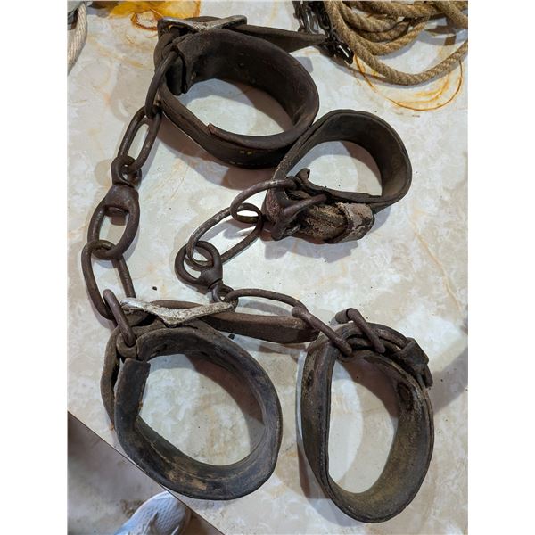 Two Sets of Hobbles