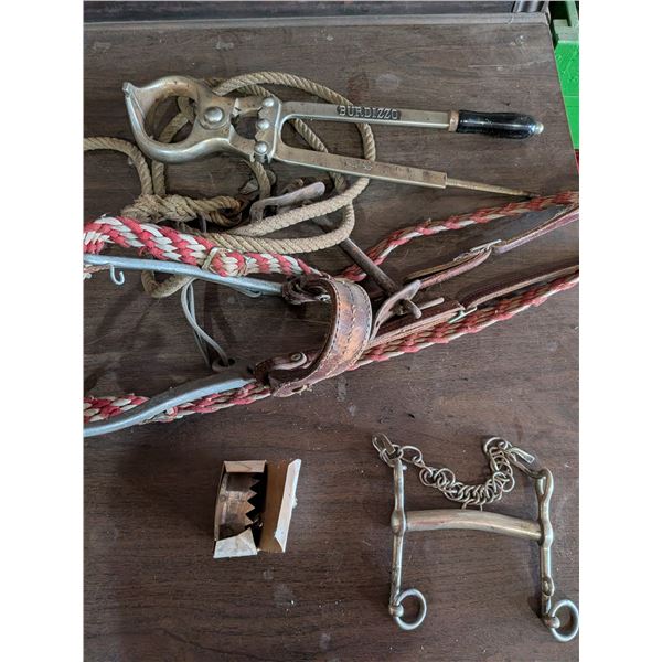 Burdizzo Hackamore and Bite