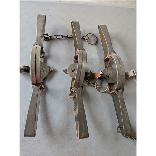 Three Victoria No 3 Animal Traps