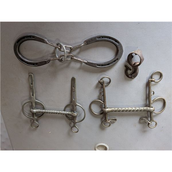 Two Horse Bits and a Puzzle