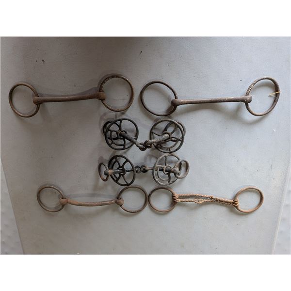 Six Horse Bits