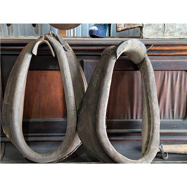 Two Horse Collars