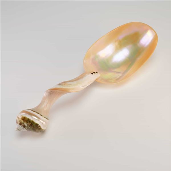 Polished Mother of Pearl and Seashell Serving Spoon
