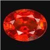 .49ct Attractive Oval Red Sapphire FLAWLESS (GEM-17671B)