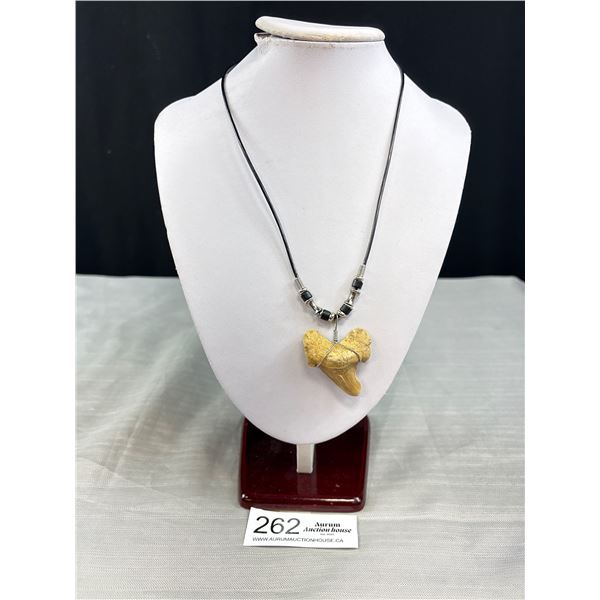 Large Shark Tooth Pendant w/ Black Cord Necklace