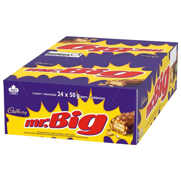 Cadbury Mr. Big Candy Bars, 24 x 90g