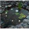 Image 1 : Smartpond Mini LED Lights, Low Voltage, 6 Units with Dusk to Dawn Sensor