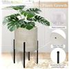 Image 1 : Rivet Mid-Century Ceramic Planter with Iron Stand 17 inch high - pic may differ slightly