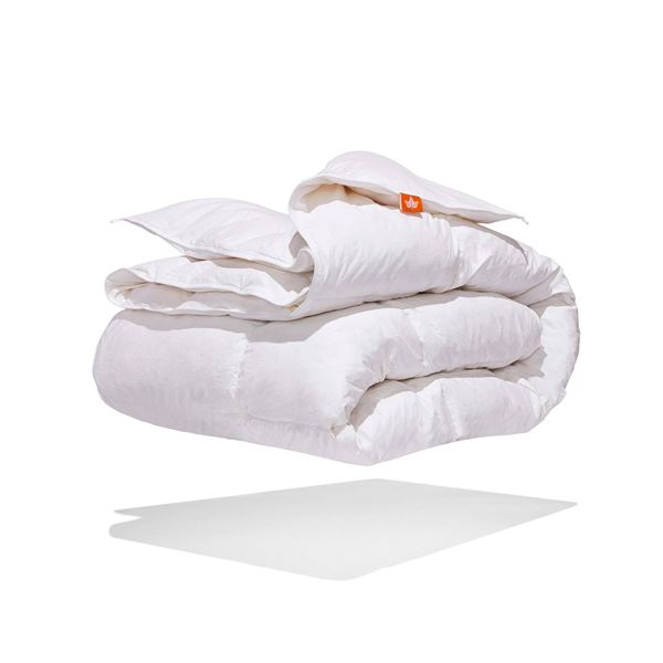 WhatsBedding Luxury Feather and Down Duvet, Queen Size, 90x90 Inches