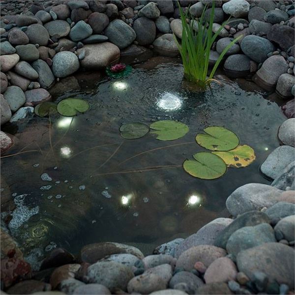 Smartpond Mini LED Lights with Dusk to Dawn Sensor