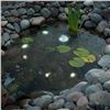 Image 1 : Smartpond Mini LED Lights with Dusk to Dawn Sensor