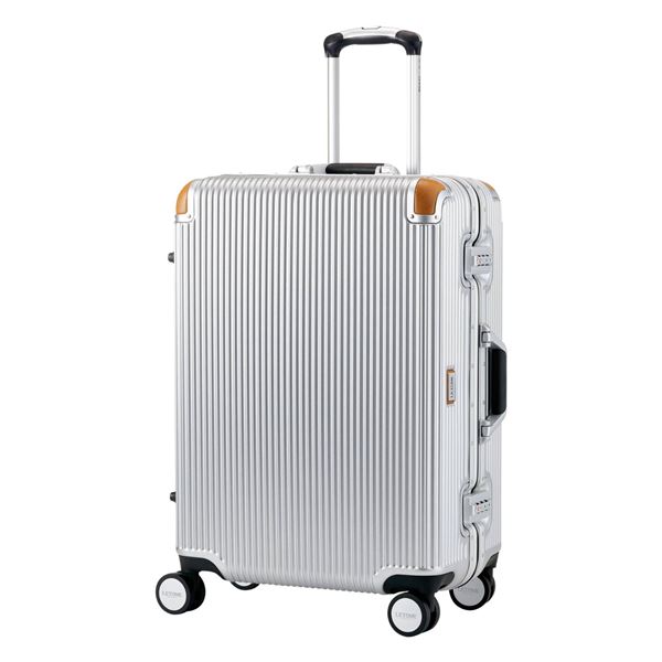 Silver Hard-Shell Luggage with Tan Trim, 9in x 13in x 22in