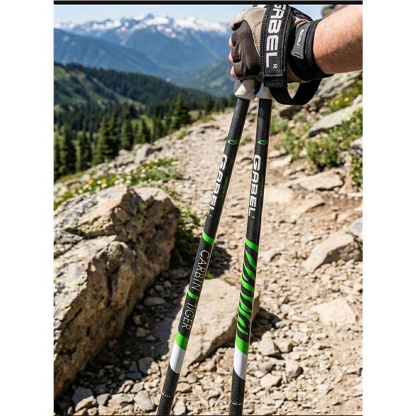 Gabel Carbon ALU HF Trekking Poles, ITM 1739053