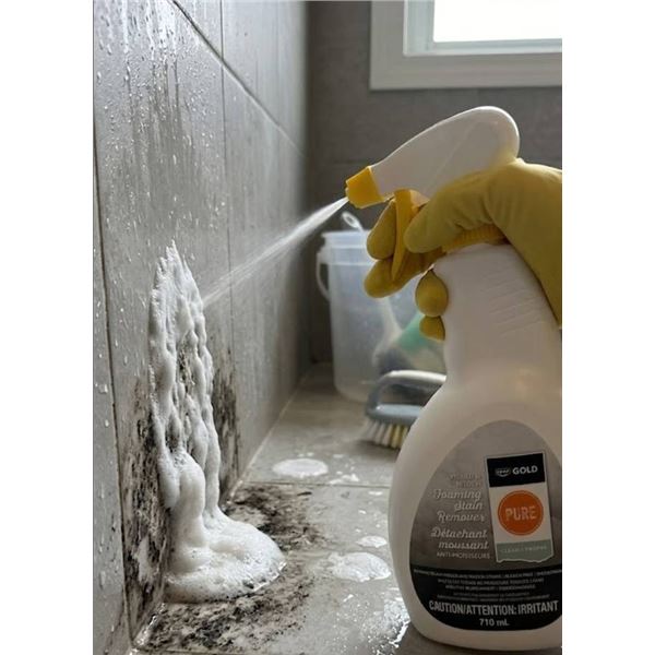 CO-OP Gold Pure Mould & Mildew Remover 710 mL Spray Bottle, 12-Count Case