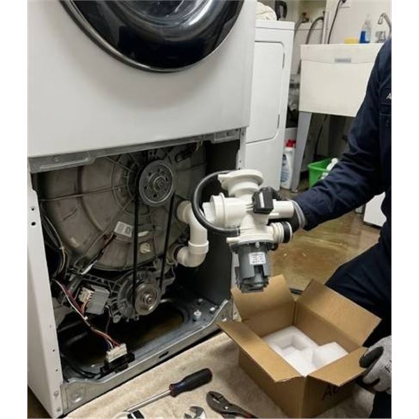 Drain Pump Model 1350 - 220V, 30W - Made in Korea