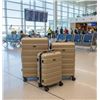 Image 1 : Pack & Fly 3-Piece Suitcase Set - Champagne Edition