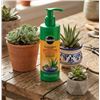 Image 1 : Miracle-Gro Succulent Plant Food 236 mL Pump Bottle - Pack of 9