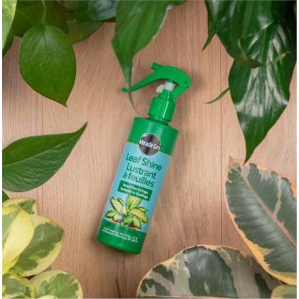 MiracleGro Leaf Shine 230mL Spray Lot of 9 Units