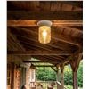 Image 1 : Outdoor Lantern Model IOL105WH with Clear Glass Globe