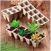 Image 1 : Jiffy-Strips 10 Lot of 12 Biodegradable Plant Starter Trays