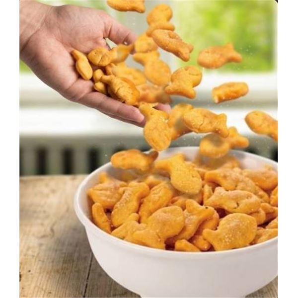 Goldfish Cheddar Baked Snack Crackers 24 Packs (1.03 kg, 43 g Each)