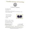 Image 4 : Sterling Silver Natural Amethyst (1.60ct) Earrings, W/A $420.00. Amethyst is the birthstone for Febr