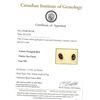 Image 5 : 10KT Yellow Gold Natural Garnet (1.12ct) Earrings, W/A $900.00. Garnet is the birthstone for January