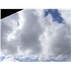 Image 4 : Empty Lot