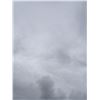 Image 5 : Empty Lot