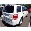 Image 3 : 2010 Ford Escape
