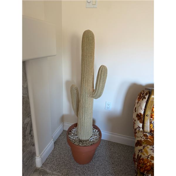 Cactus decor