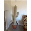 Image 1 : Cactus decor