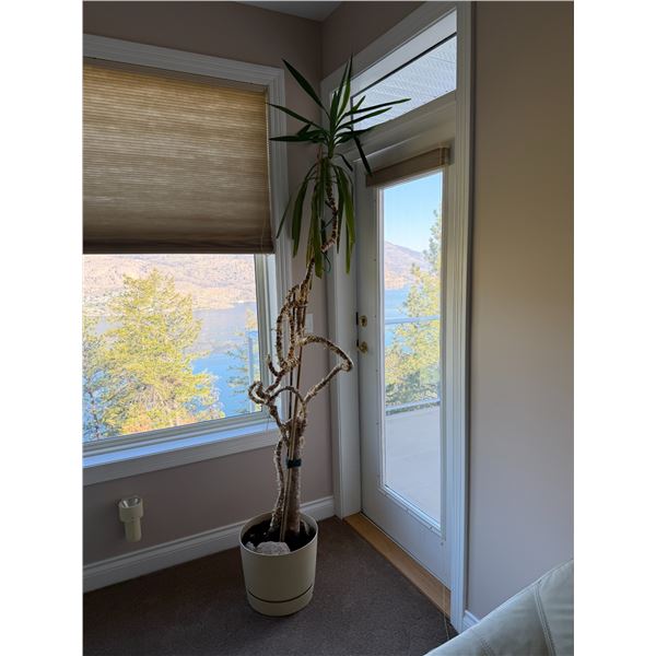 Plant