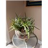 Image 1 : Plant
