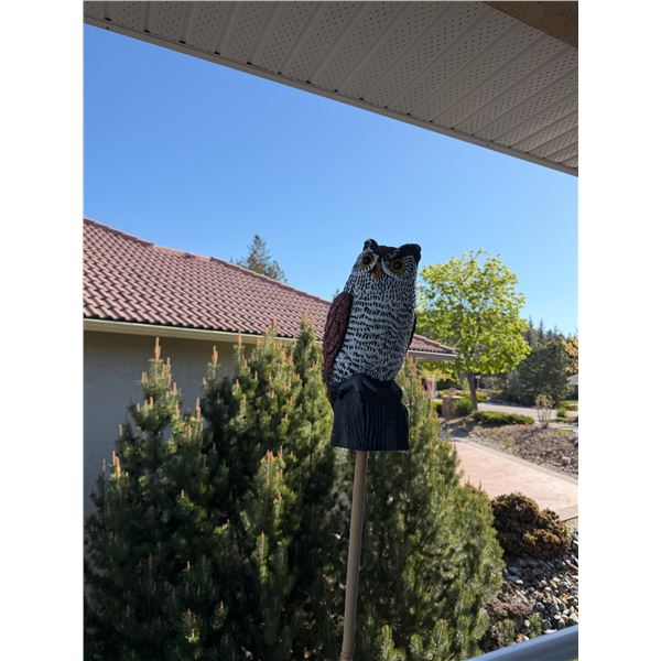 Owl decoy