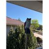 Image 1 : Owl decoy