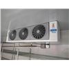 Image 3 : NORBEC WALK-IN COOLER WITH 5 DISPLAY DOORS