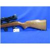 Image 2 : Non-Restricted - Cooey by Winchester Model 64B in 22LR