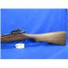 Image 2 : Non-Restricted - Enfield Model P14 ERA Sporter in 303 British