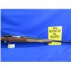 Image 7 : Non-Restricted - CZ Model 550 Lux in 243 Win