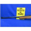 Image 4 : Non-Restricted - Marlin Model 25N in 22LR