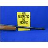 Image 8 : Non-Restricted - Marlin Model 25N in 22LR