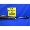 Image 8 : Non-Restricted - TOZ Target Rifle in 22 LR
