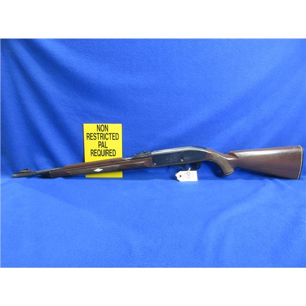 Non-Restricted - Remington Nylon Model 66 in 22 LR