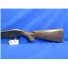 Image 2 : Non-Restricted - Remington Nylon Model 66 in 22 LR