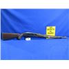 Image 5 : Non-Restricted - Remington Nylon Model 66 in 22 LR