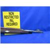 Image 8 : Non-Restricted - Remington Nylon Model 66 in 22 LR