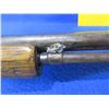 Image 11 : Non-Restricted - Winchester Model 06 in 22 S/L/LR